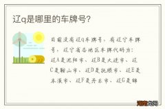 辽q是哪里的车牌号？