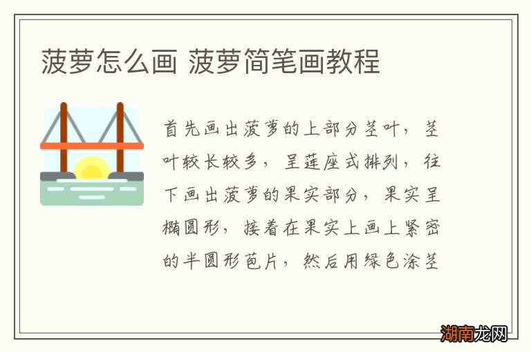 菠萝怎么画 菠萝简笔画教程