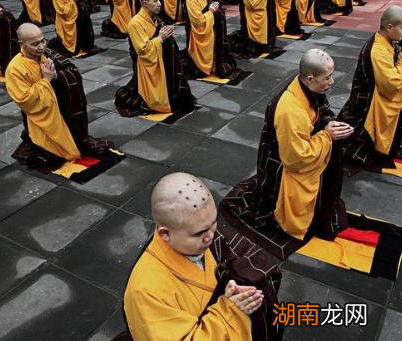 古代和尚为什么要烧戒疤 这东西真的是一排排的吗