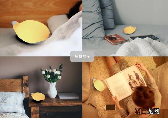 作品 | 大自然的灵感库：10款创意仿生设计