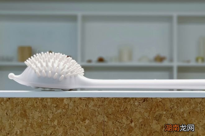 作品 | 大自然的灵感库：10款创意仿生设计