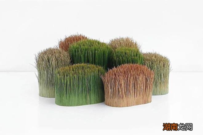 作品 | 大自然的灵感库：10款创意仿生设计