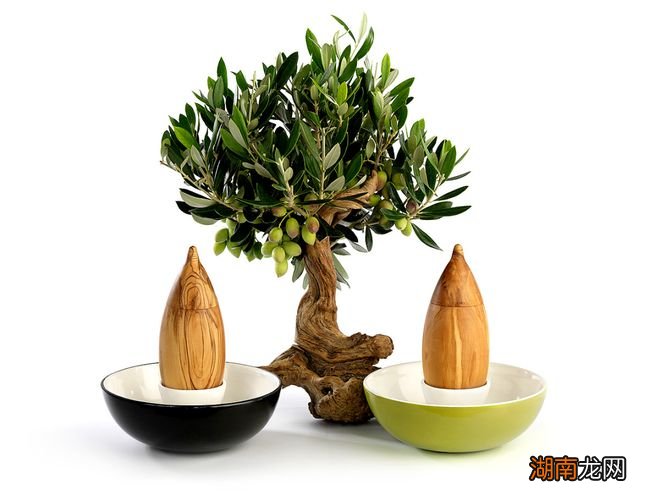 作品 | 大自然的灵感库：10款创意仿生设计