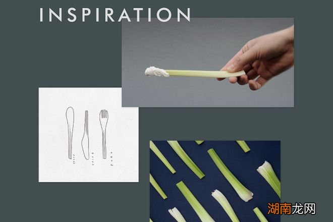 作品 | 大自然的灵感库：10款创意仿生设计