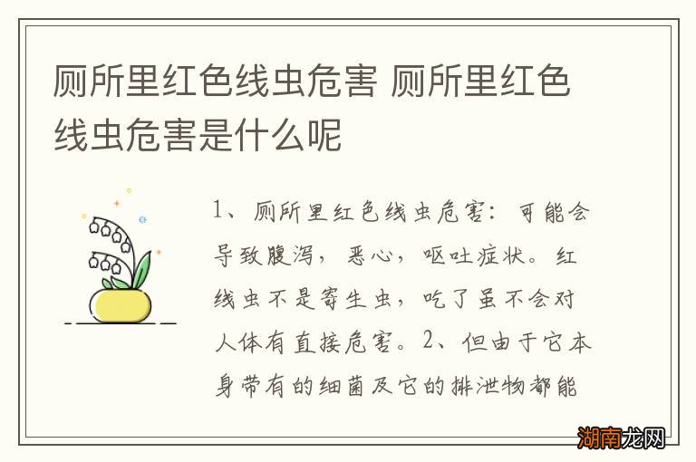 厕所里红色线虫危害 厕所里红色线虫危害是什么呢