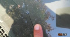 前挡风玻璃裂了一条线怎么修复