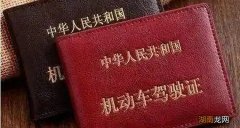 驾照分去哪里可以查