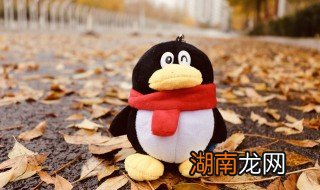 怎么关闭qq秀 电脑qq怎么关闭qq秀