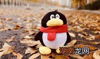 qq群怎么布置作业功能 qq群怎么布置作业