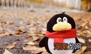 qq邮箱怎么查看别人发的邮件 qq邮箱怎么查