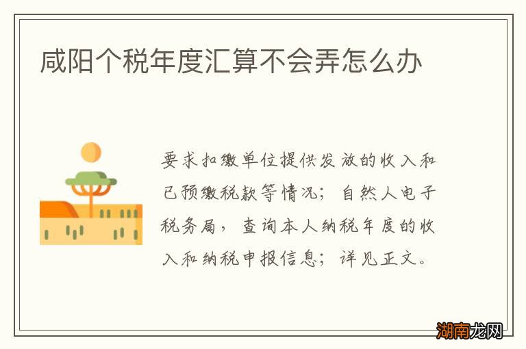咸阳个税年度汇算不会弄怎么办