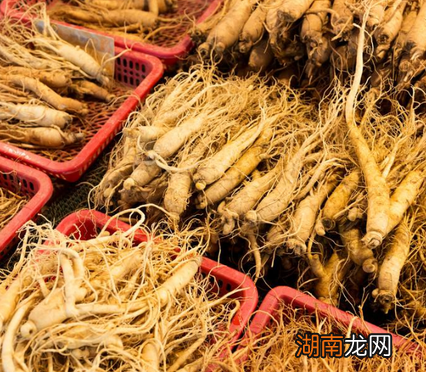 唐文尧天天都在吃白菜 雍正为什么将他满门抄斩