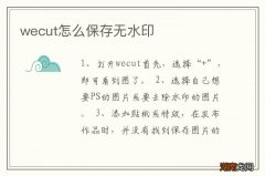 wecut怎么保存无水印
