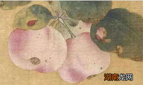 苹果在古代叫什么名字?名字十分唯美