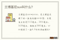 兰博基尼suv叫什么？