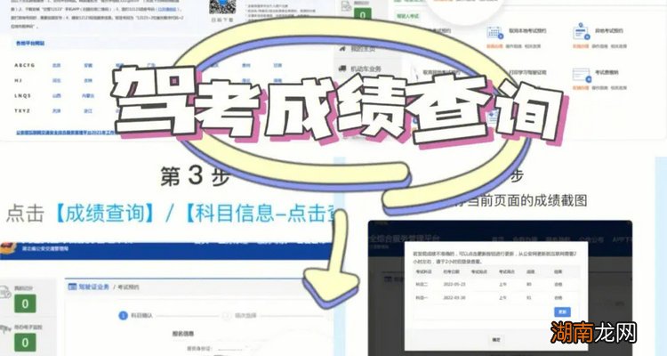 驾照全部考完了怎么查成绩