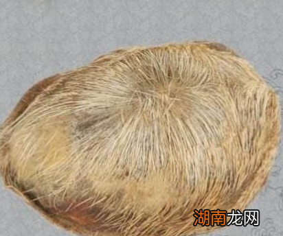 古代夫妻如果不想要孩子的话 古人又是如何避孕的