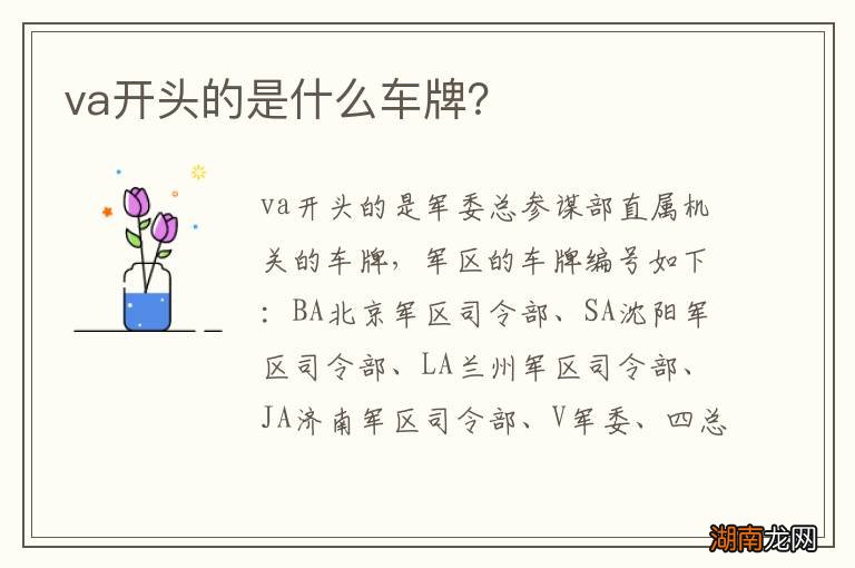 va开头的是什么车牌？