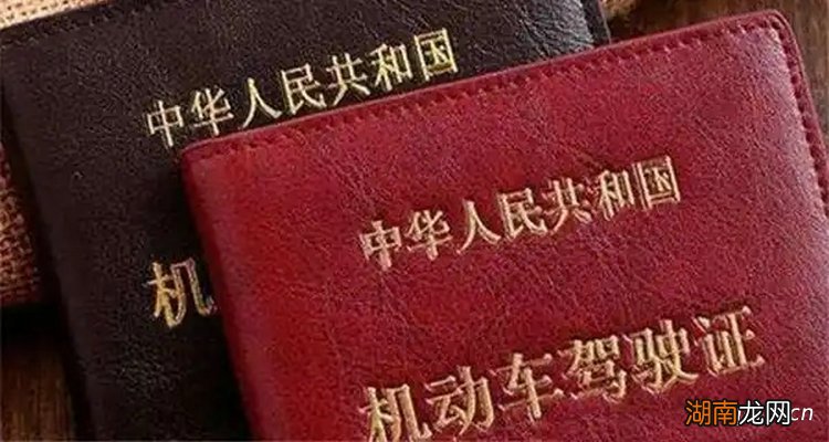 c1驾驶证审验怎么办理