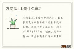 方向盘上L是什么车？