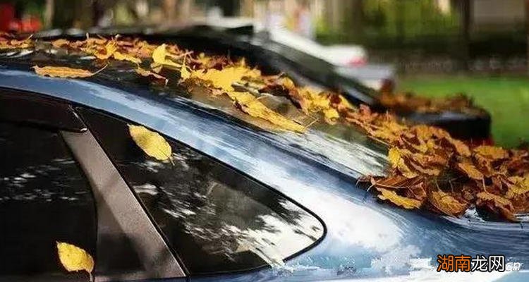 树油滴在车上对车漆有什么影响