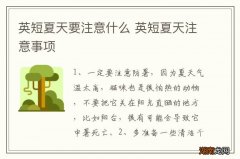 英短夏天要注意什么 英短夏天注意事项