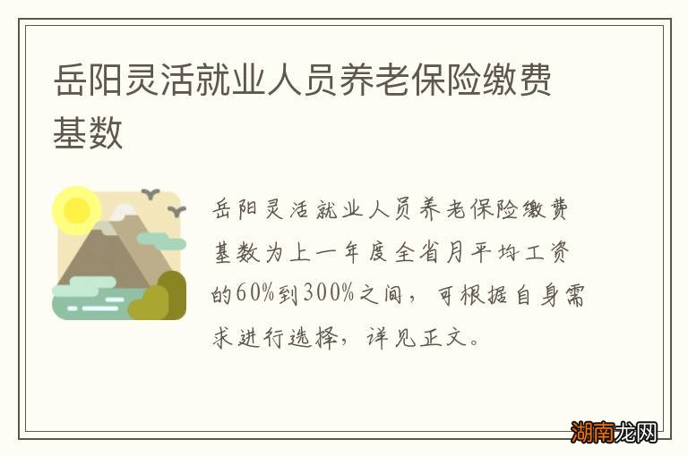 岳阳灵活就业人员养老保险缴费基数