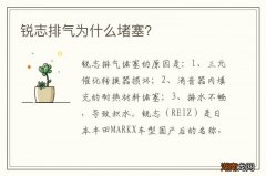 锐志排气为什么堵塞？