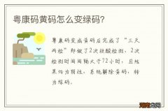 粤康码黄码怎么变绿码？
