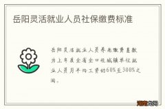 岳阳灵活就业人员社保缴费标准