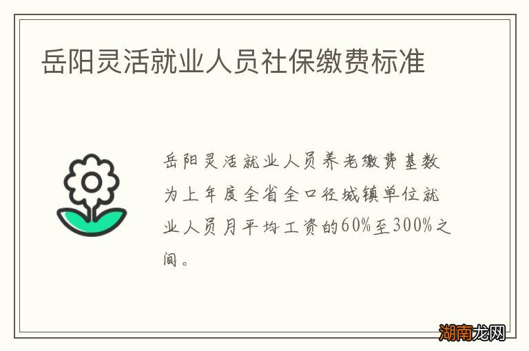 岳阳灵活就业人员社保缴费标准