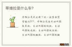 蒂维拉是什么车？