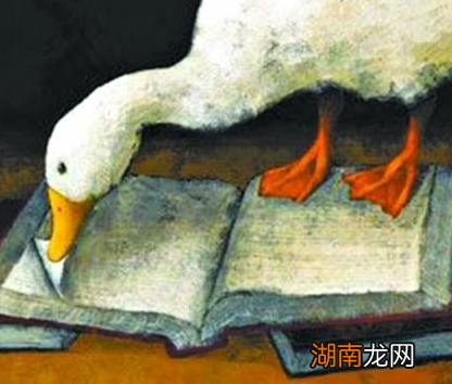 清朝盛行的宰白鹅是什么 简单说就是替罪羊