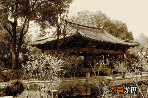 唐婉有着怎样的爱情观？她和陆游为什么以悲剧结尾？