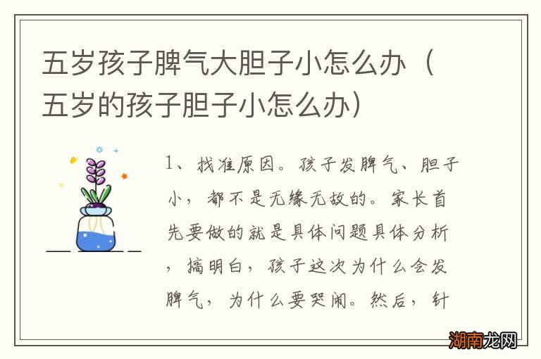 五岁的孩子胆子小怎么办 五岁孩子脾气大胆子小怎么办