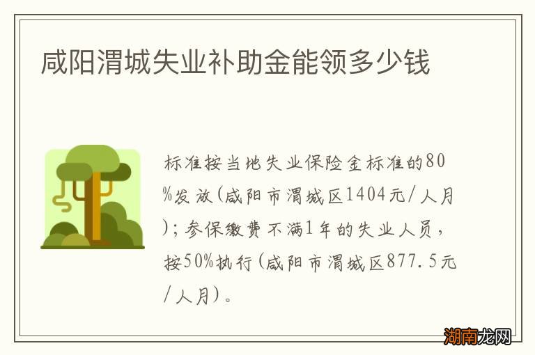 咸阳渭城失业补助金能领多少钱