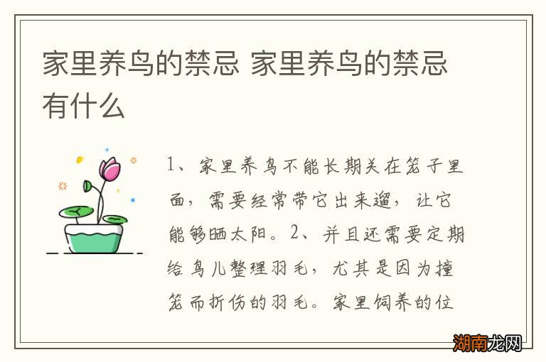 家里养鸟的禁忌 家里养鸟的禁忌有什么