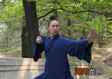 武当派始祖张三丰的一生有着怎样的传奇经历？他为后世留下了什么？