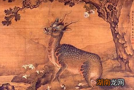 郑和带来的一幅长颈鹿的画，为何会被称为神兽呢？