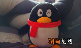 QQ情侣空间怎么换宠物 qq空间宠物猫怎么换