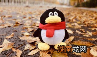 怎么查自己的qq邮箱号,怎么查自己的qq邮箱号和密码