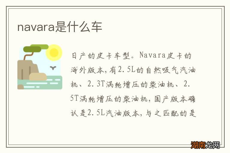 navara是什么车