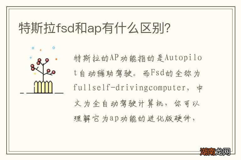 特斯拉fsd和ap有什么区别？