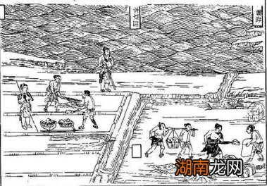 三国时期,蜀魏吴三国的经济状况分别是怎样的?