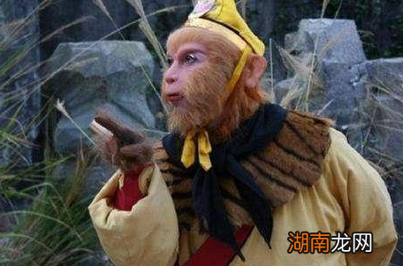 孙悟空身上就有无数毫毛,为何只有三根救命毫毛?