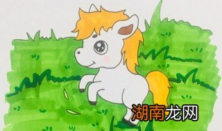 马怎么画 小白马简笔画教程