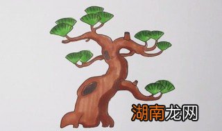 松树怎么画 松树简笔画教程
