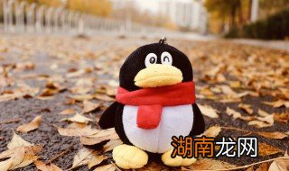 QQ怎么弄小号，同一个手机号qq怎么弄小号