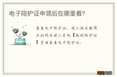 电子陪护证申领后在哪里看？