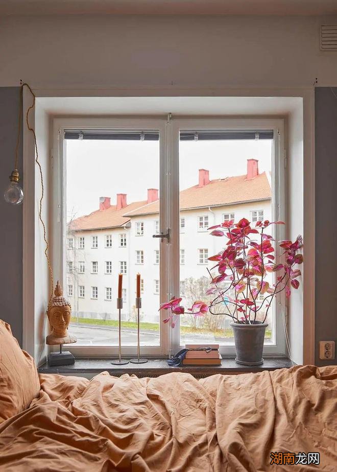 装修灵感 | 这个47㎡的小家,凭“生机盎然”能赢大多数户型